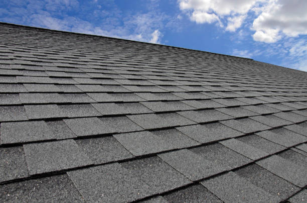 Professional Roofing Services in San Antonio, FL